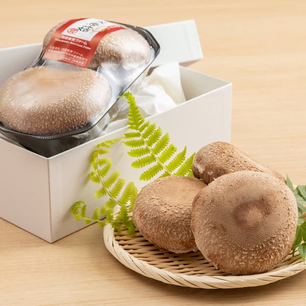徳島県産希少種の肉厚椎茸＜天恵菇＞農薬化学肥料不使用・ギフトやお裾分けにも◎