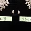 サムネイル 6
