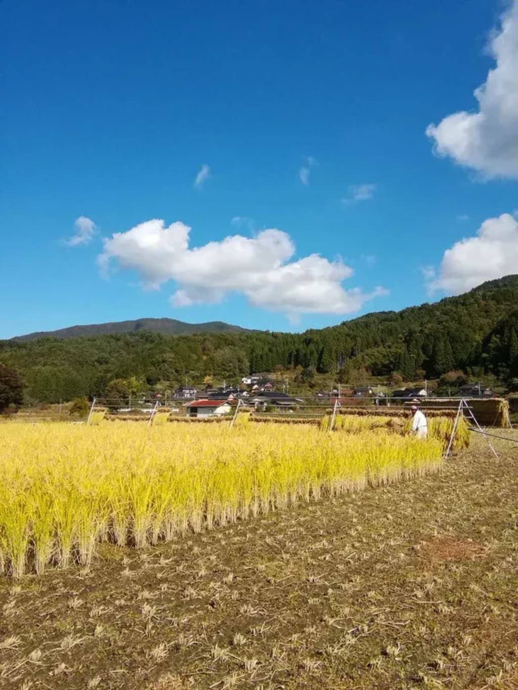 豊岡ナチュラルファームメイン画像