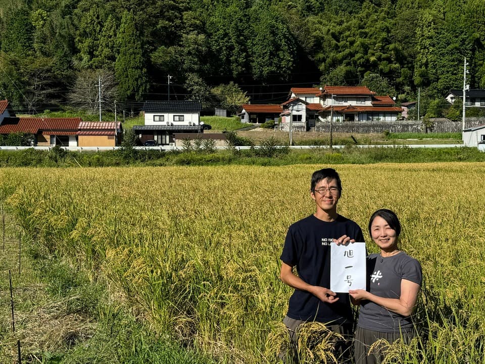 【完売御礼】令和７年産＜旭一号＞無農薬・無化学肥料・冬期湛水・ハザかけ天日干し