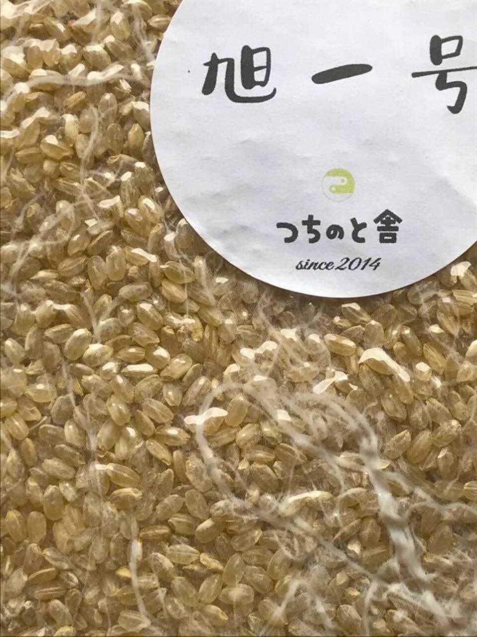 【完売御礼】令和７年産＜旭一号＞無農薬・無化学肥料・冬期湛水・ハザかけ天日干し