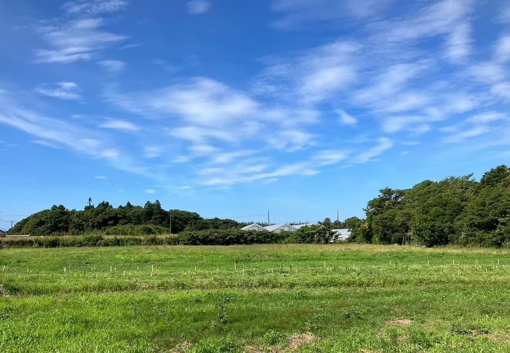 次百農場メイン画像