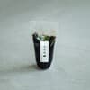 100g 袋