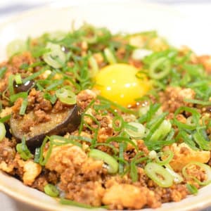 ひき肉とお茄子と木綿豆腐の丼ぶり