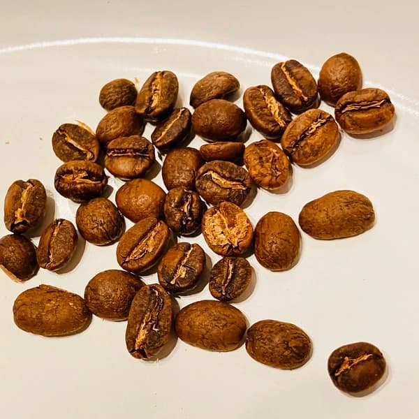 豆100ｇ