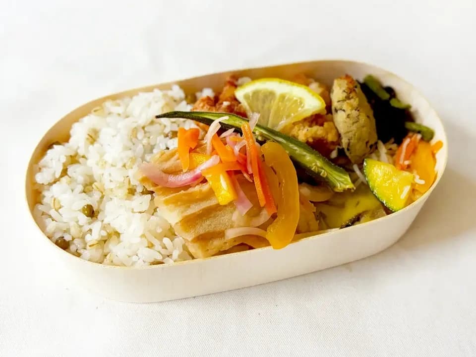 夏のお弁当5種（冷凍）【無農薬米、無添加、野菜は有機または特別栽培】