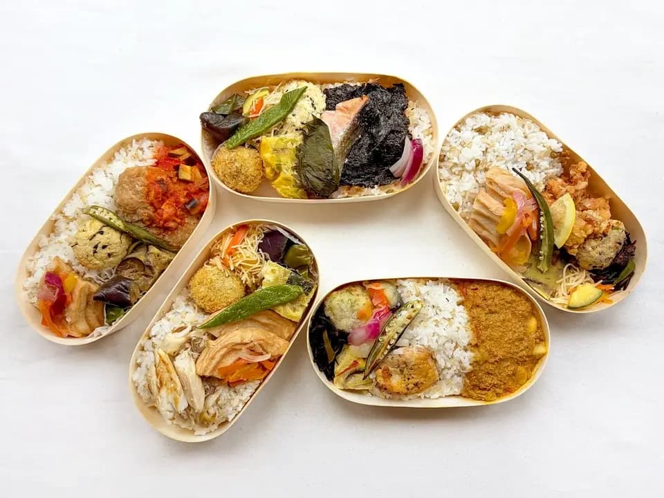 夏のお弁当5種（冷凍）【無農薬米、無添加、野菜は有機または特別栽培】