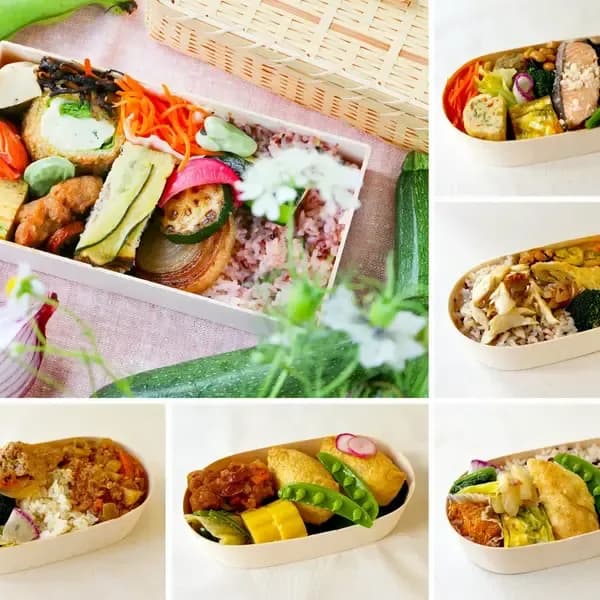 【定期便】選べる冷凍お弁当《月1回or隔週お届け｜無添加・無農薬米、有機・特別栽培野菜》
