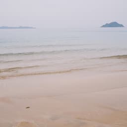 夏至の養生