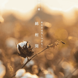 七十二候のお手紙｜綿柎開