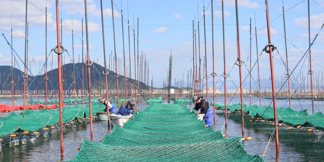 浦山海苔ロゴ