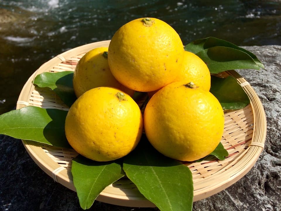 【極少量販売！】夏空の小夏　農薬・化学肥料・除草剤不使用