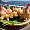 サムネイル 4