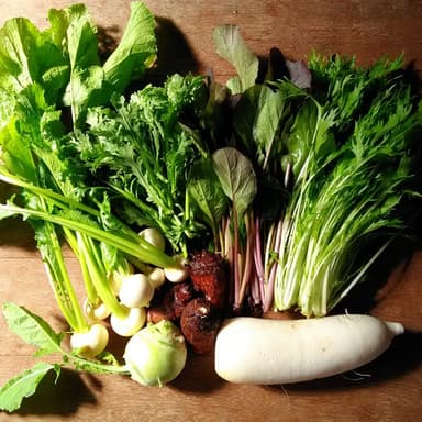 葉物野菜の美味しい時期です。