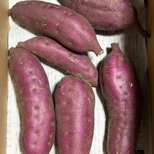紅あずま　1kg