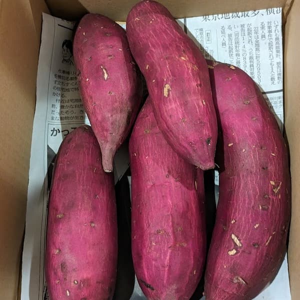 べにはるか　1kg