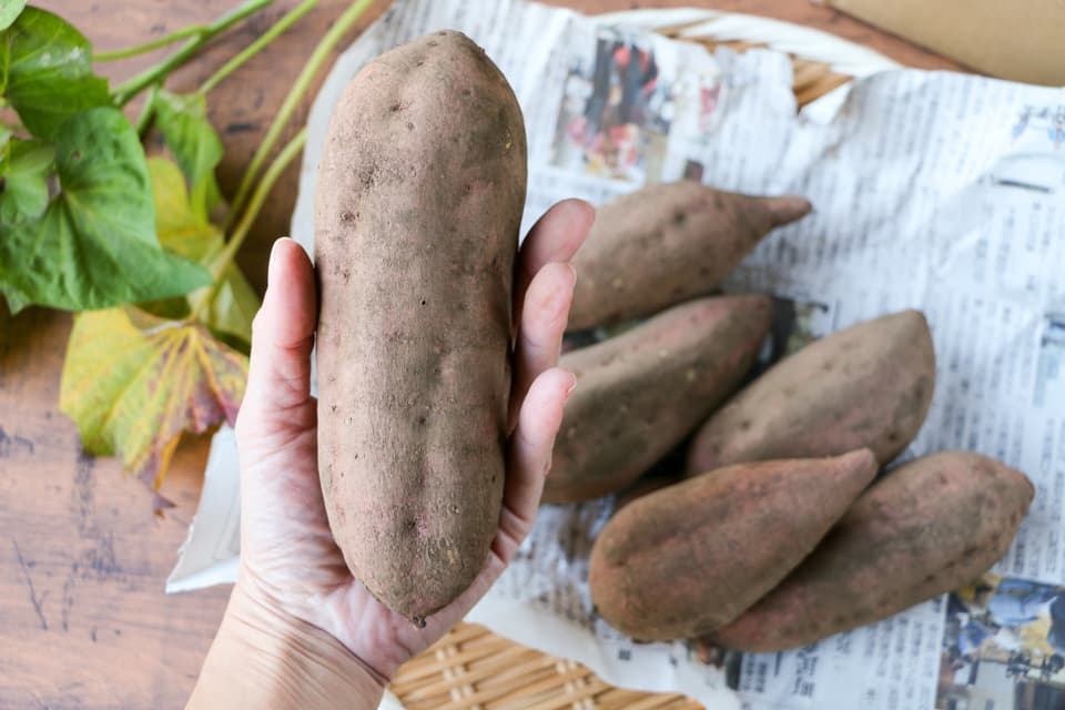 ねっとり甘～い熟成＜安納芋＞完全無農薬・無肥料・微生物農法栽培