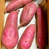 サムネイル 10