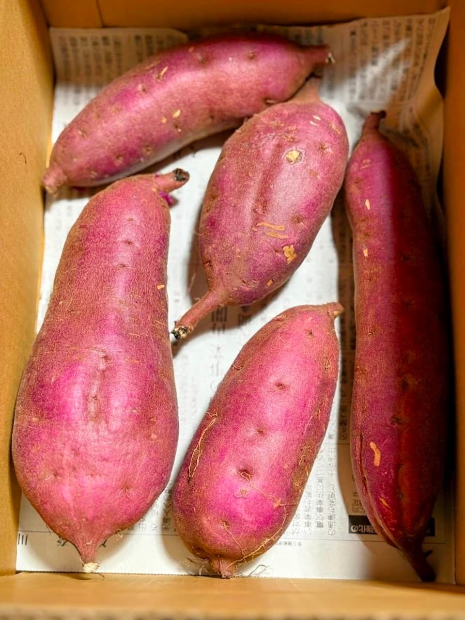 懐かしいほっこり甘い熟成＜紅あずま＞完全無農薬・無肥料・微生物農法栽培