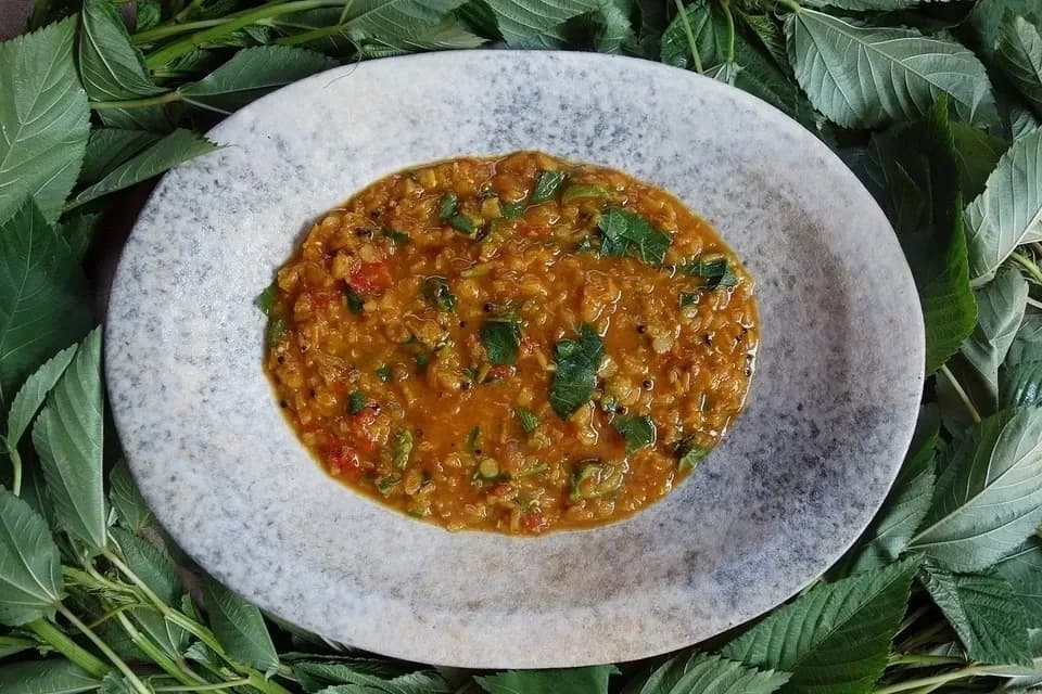 無添加・無農薬＜千葉県産モロヘイヤのダールカレー（Veg）＞赤レンズ豆のやさしいとろみとスパイスの香り