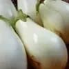 サムネイル 4