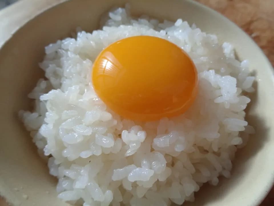 千葉・鴨川の里山で育てた＜有精卵＞さっぱりしていてコクがある卵