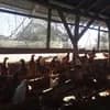 サムネイル 6