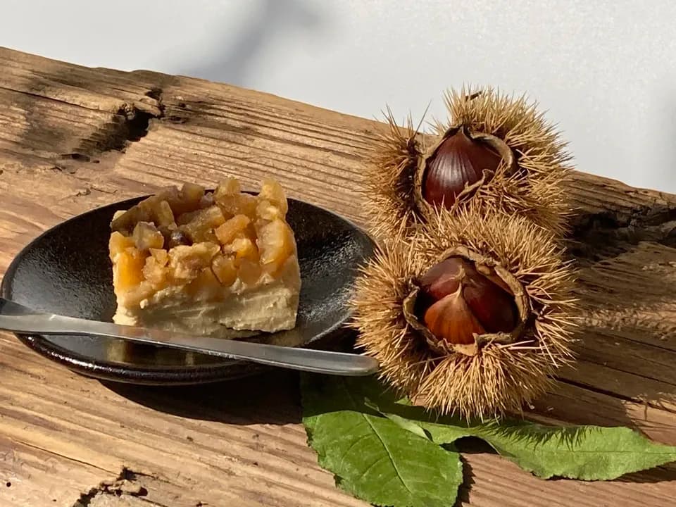 グルテンフリーの無添加ケーキ　栗とチーズ
