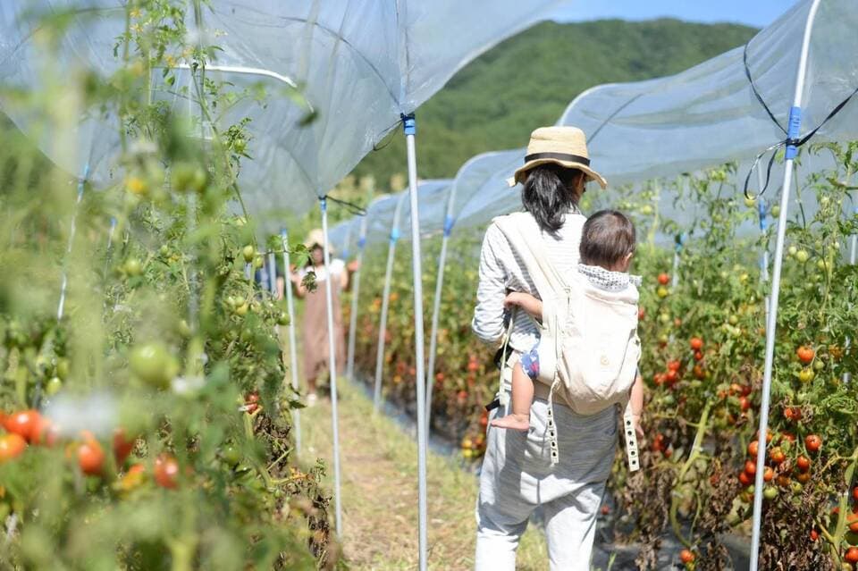 【旬をたっぷり】自然栽培の手渡したくなるお任せ野菜SET