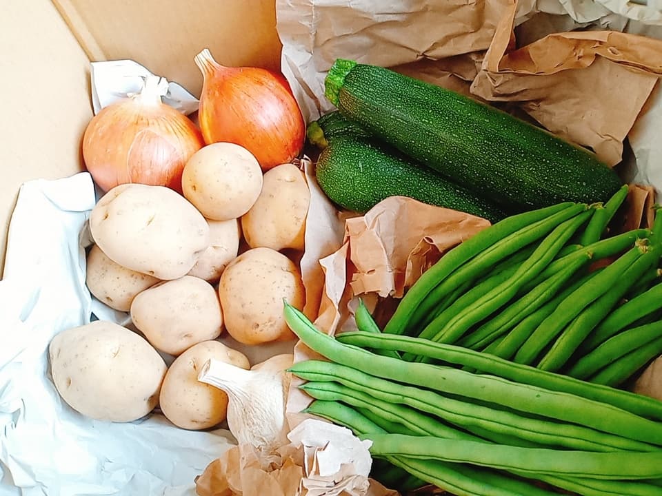 【旬をたっぷり】自然栽培の手渡したくなるお任せ野菜SET