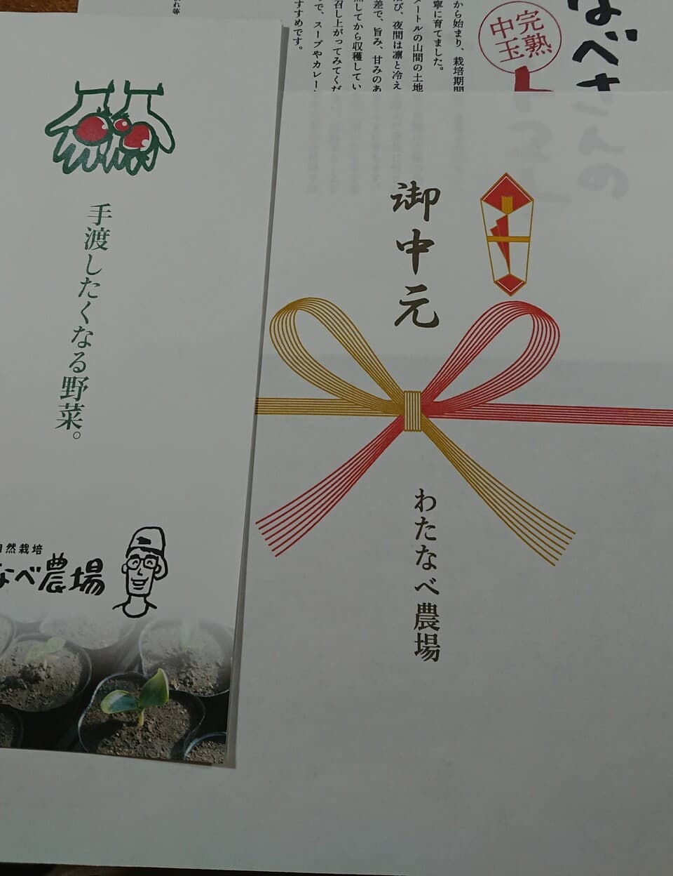 【旬をたっぷり】自然栽培の手渡したくなるお任せ野菜SET