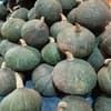 サムネイル 13