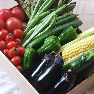 【旬をたっぷり】自然栽培の手渡したくなるお任せ野菜SETのレビュー