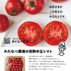 自然栽培で育てた完熟中玉トマトのレビュー