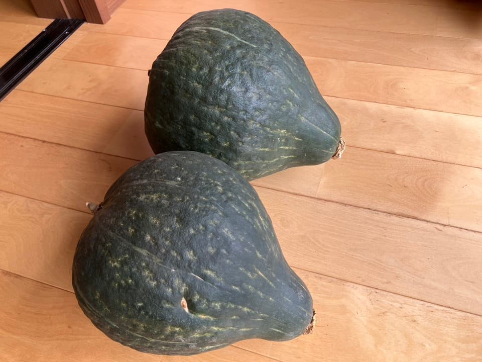 自然栽培かぼちゃで作る＜無添加かぼちゃペースト＞冷凍