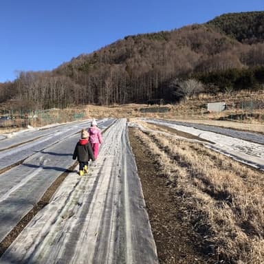 マイナス１８℃