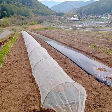 安心な畑