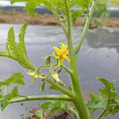 やさしい気持ちで丁寧に