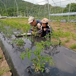 子供と畑へ