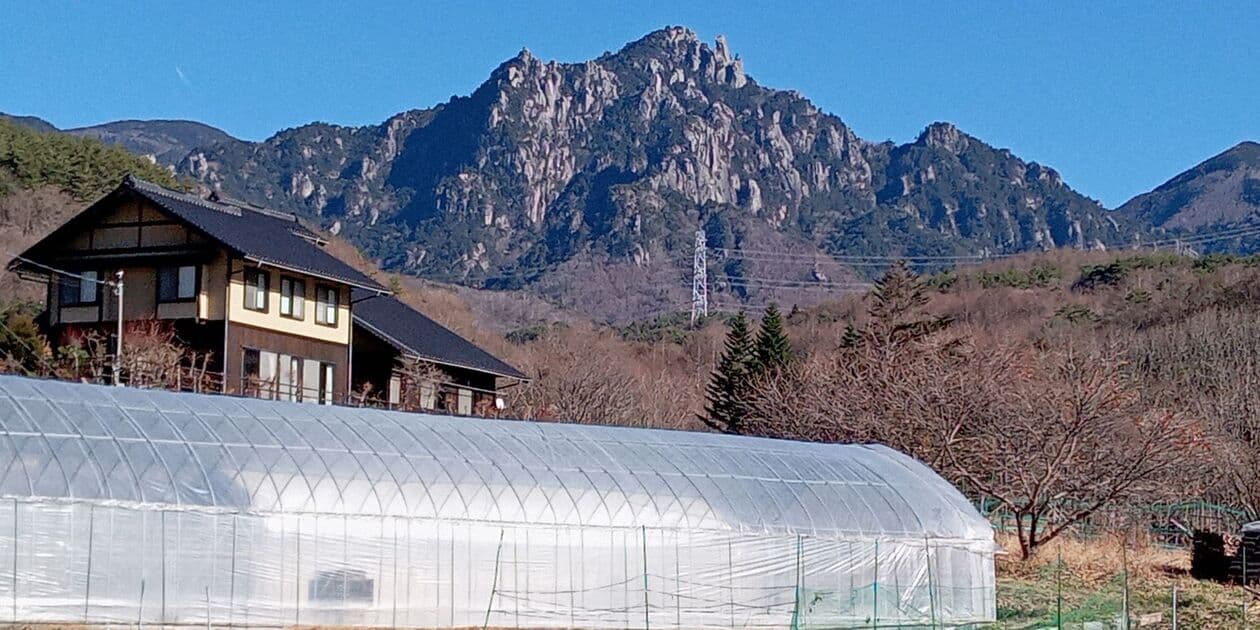 Watanabe farmロゴ