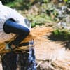 サムネイル 8