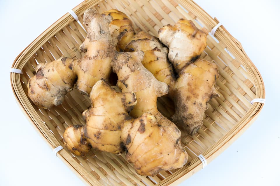 無農薬・無肥料の自然栽培生姜