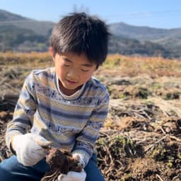 こども達も一緒に収穫作業