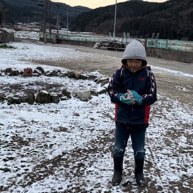 雪☃️