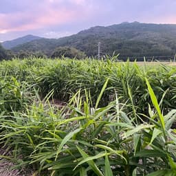 今シーズンもどうぞよろしくお願い致します。