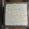 【予約販売】令和8年度産　白米10kg