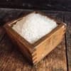 【予約販売】令和8年度産　白米5kg