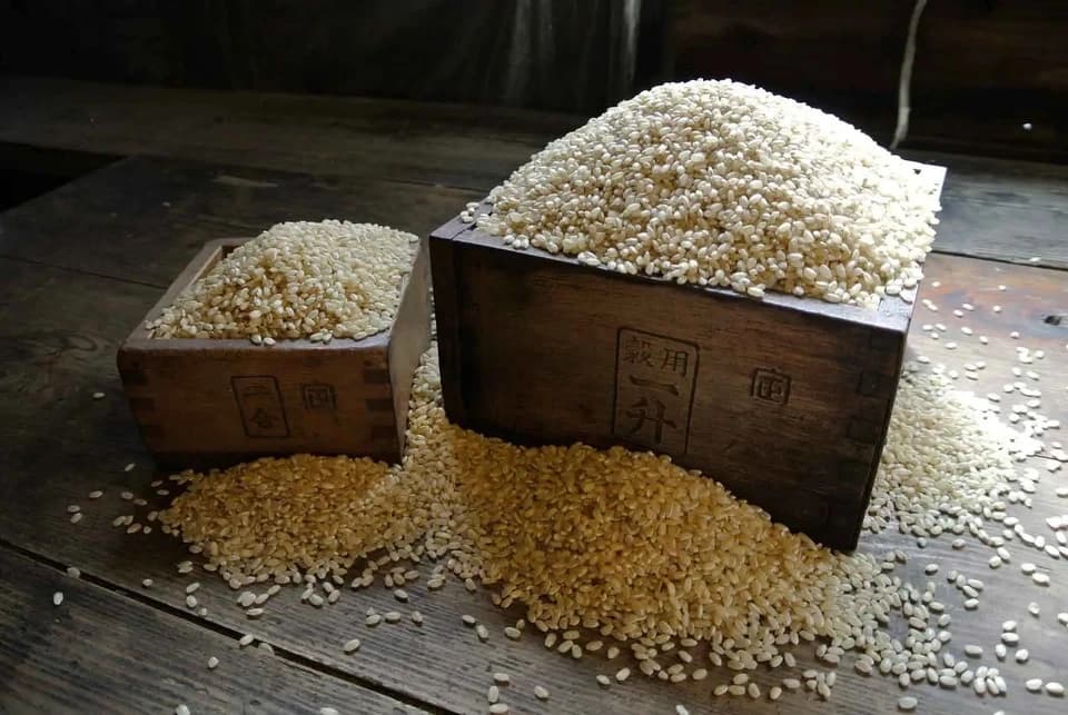 令和7年度産＜ヒノヒカリ：玄米＞農薬・化学肥料・動物性肥料不使用