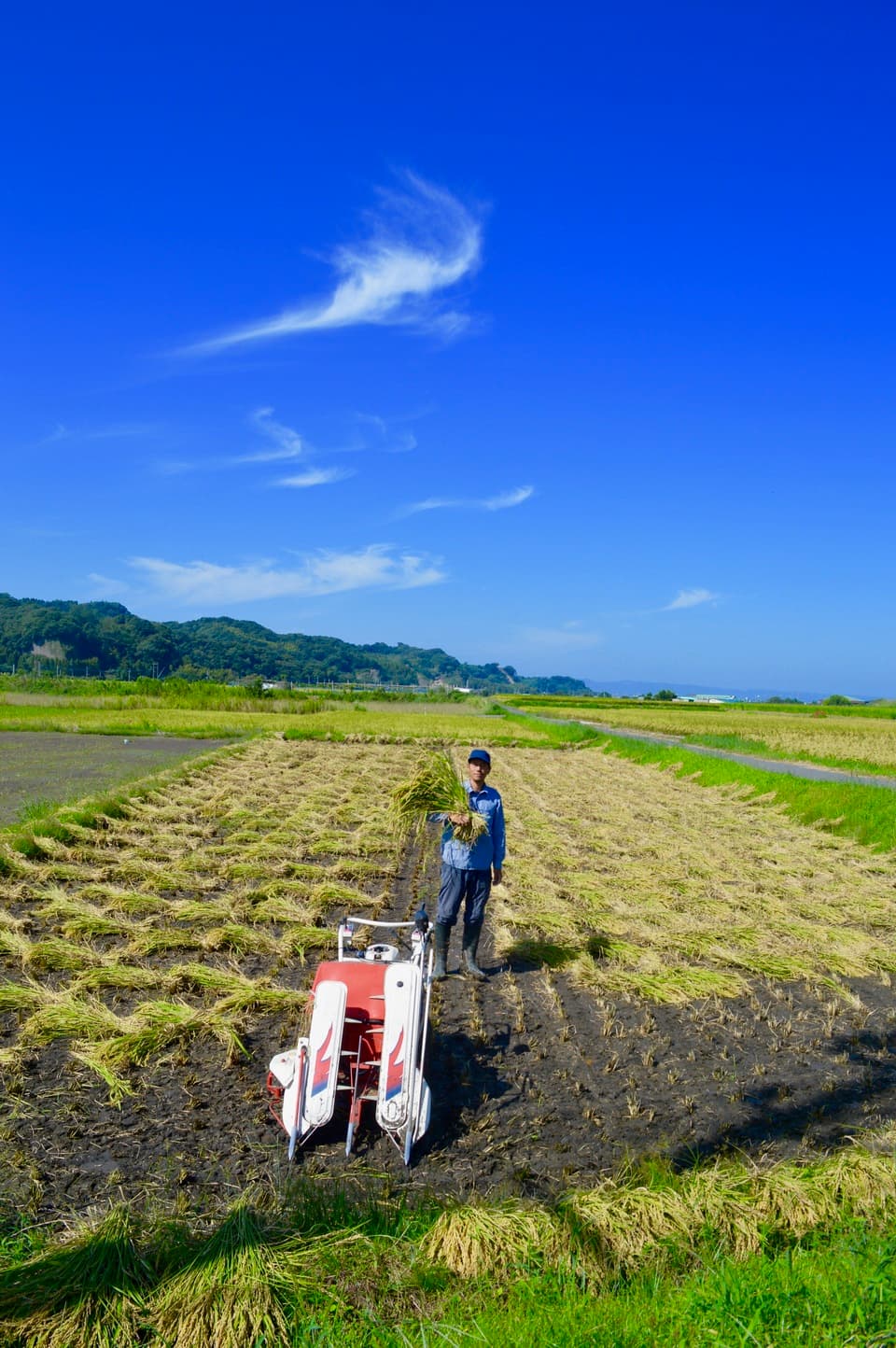 【玄米】令和7年産 / ハッピーヒル （無農薬・無肥料)