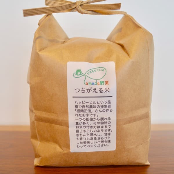【玄米】令和7年産 / ハッピーヒル （無農薬・無肥料)